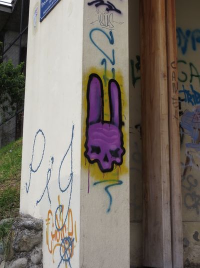 07.jpg